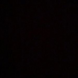 Meet your Posher, Alexys